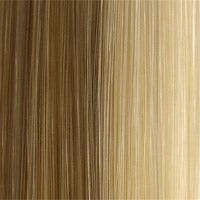 504 Anemone: Synthetic Wig by WIGPRO