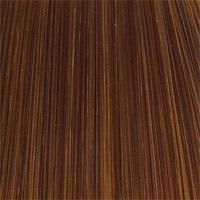 504 Anemone: Synthetic Wig by WIGPRO