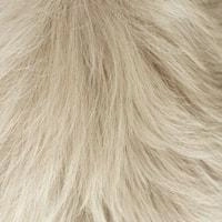 Aki wig - 58cm - Trendco
