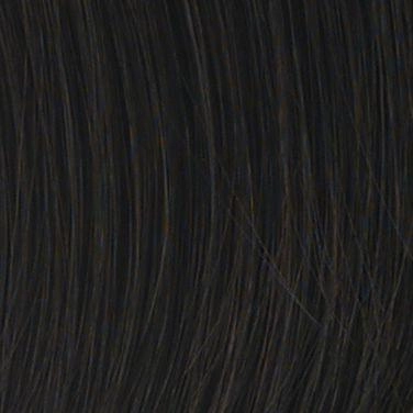 Allure Wig by Hairdo | Heat Friendly Synthetic (Traditional Cap)