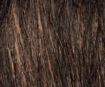 Alyssa wig - Envy Collection