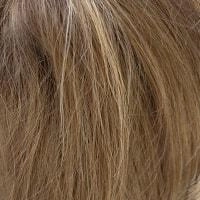 Angela wig - The Alexander Couture Collection by Rene of Paris