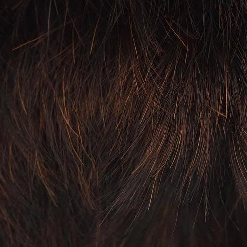 BA520 M. Vicky by WigPro | Bali Synthetic Hair Wig | Clearance Sale