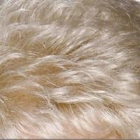 Beatrice wig - Feather Premier