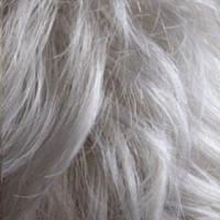 Beatrice wig - Feather Premier