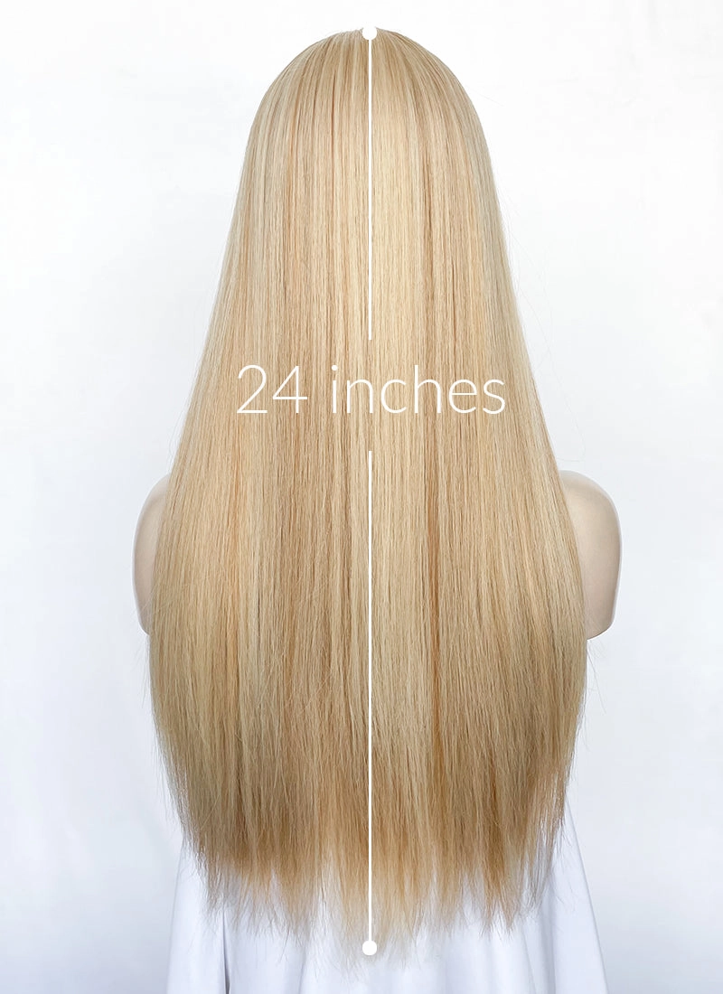 Blonde Mixed Brown Straight Synthetic Hair Wig NS520