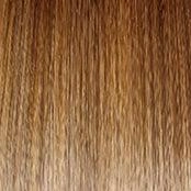 Bouncy Beauty Wig by Gabor | Synthetic (Lace Front Mono Part)