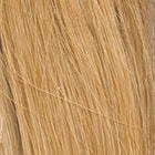 Bravo wig - Raquel Welch Black Label Human Hair Collection