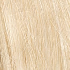 Bravo wig - Raquel Welch Black Label Human Hair Collection