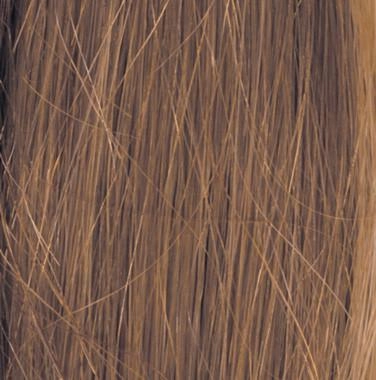 Bravo Wig by Raquel Welch | Human Hair (Lace Front Mono Top)