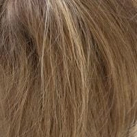 Braylen wig - Amore Rene of Paris