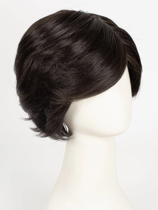 Captivating Canvas | Synthetic Lace Front Wig (Basic Cap)
