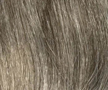 Carrisa wig - Envy Collection