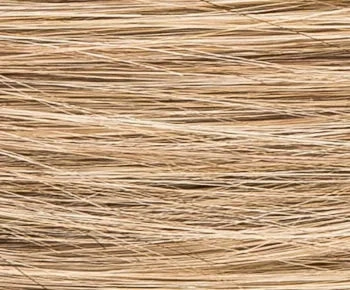 Cassana Petite Mono Lace wig - Ellen Wille Stimulate Collection