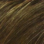 Christine Wig by Envy | Synthetic (Mono Part)