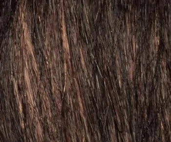 Coco wig - Envy Collection