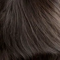 Crystal Human Hair wig - Gem Collection
