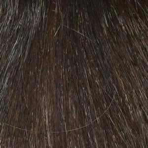 Dakota Wig by Envy | Synthetic (Lace Front Mono Part)