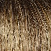 Directors Pick Heat Friendly wig - Raquel Welch