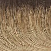 Fierce & Focused wig - Raquel Welch
