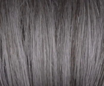 Gia wig - Rene of Paris Hi-Fashion