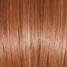 Go To Style wig - Raquel Welch