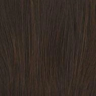 Go To Style wig - Raquel Welch