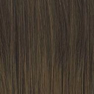 Go To Style wig - Raquel Welch
