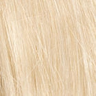 Grand Entrance wig - Raquel Welch Black Label Human Hair Collection