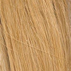 Grand Entrance wig - Raquel Welch Black Label Human Hair Collection