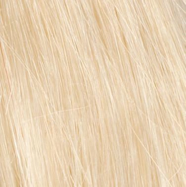 Grand Entrance Wig by Raquel Welch | Human Hair (Lace Front Mono Top)