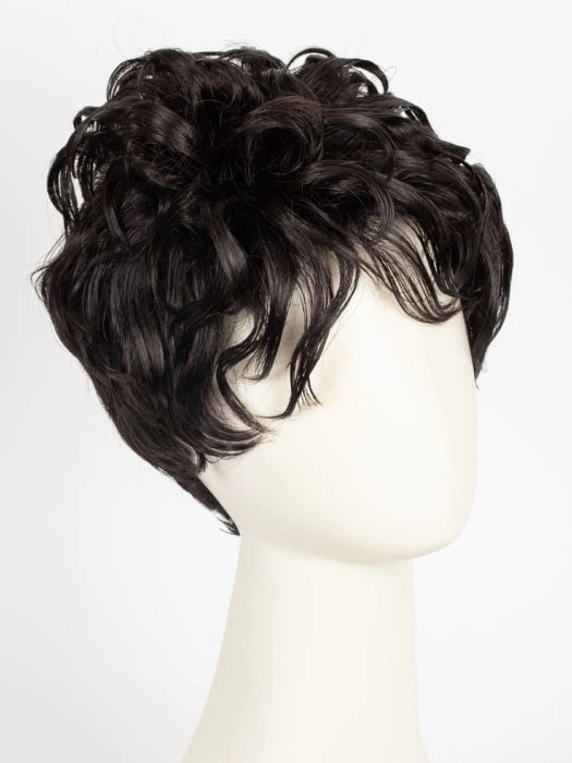 H-205 | Human Hair Wig (Basic Cap)