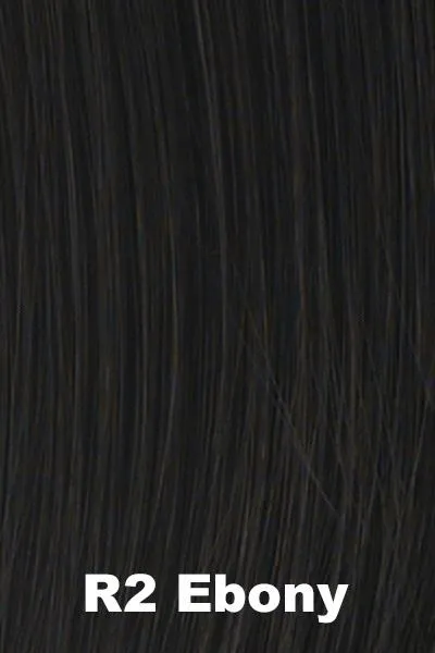 Hairdo Wigs Extensions - 12" Grand Extension (#HD12GR)