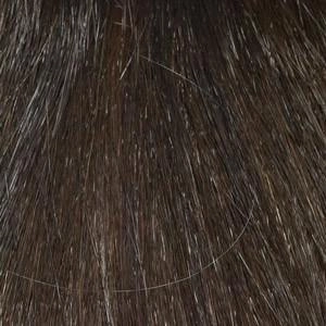 Harper Wig by Envy | Synthetic (Lace Front Mono Part)