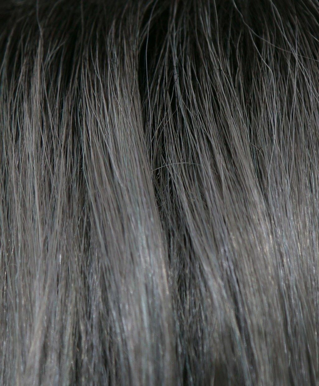 India Wig by Rene of Paris | Synthetic (Lace Front Cap)