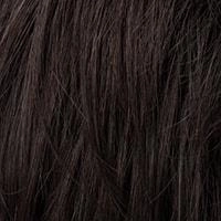 Jay Toupee - Ellen Wille Men's Toupee Collection