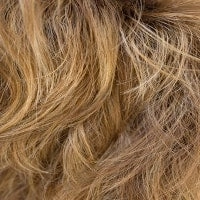 Kenzie wig - Noriko