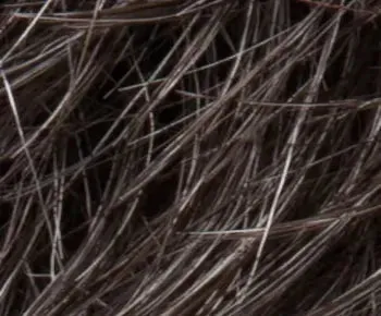 Lexi wig - Ellen Wille Modixx Collection
