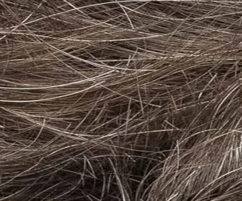 Lexi wig - Ellen Wille Modixx Collection