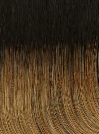 Limelight Wig by Raquel Welch | Heat Friendly Synthetic (Lace Front Mono Top)