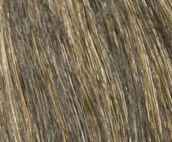 Marsha wig - Envy Collection