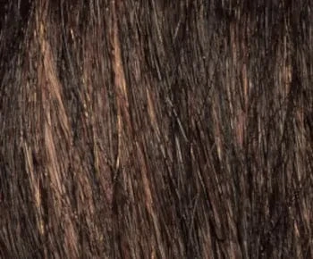 Marsha wig - Envy Collection