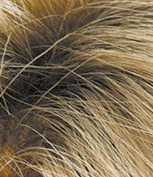 Mellow Wig by Estetica Designs | Synthetic (Lace Front)