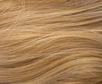 Misha wig - Rene of Paris Hi-Fashion