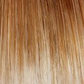 Out The Door Wig by Gabor | Synthetic Lace Front (Basic)