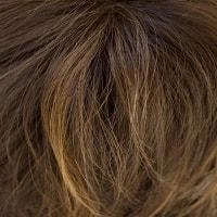 Petite Portia wig - The Orchid Collection