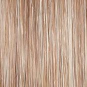 Portrait Mode Wig by Raquel Welch | Mid Length Mono Top