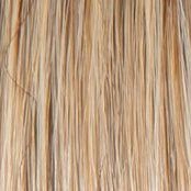 Portrait Mode Wig by Raquel Welch | Mid Length Mono Top