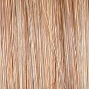 Portrait Mode Wig by Raquel Welch | Mid Length Mono Top