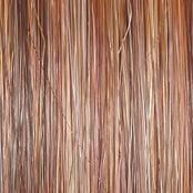 Portrait Mode Wig by Raquel Welch | Mid Length Mono Top